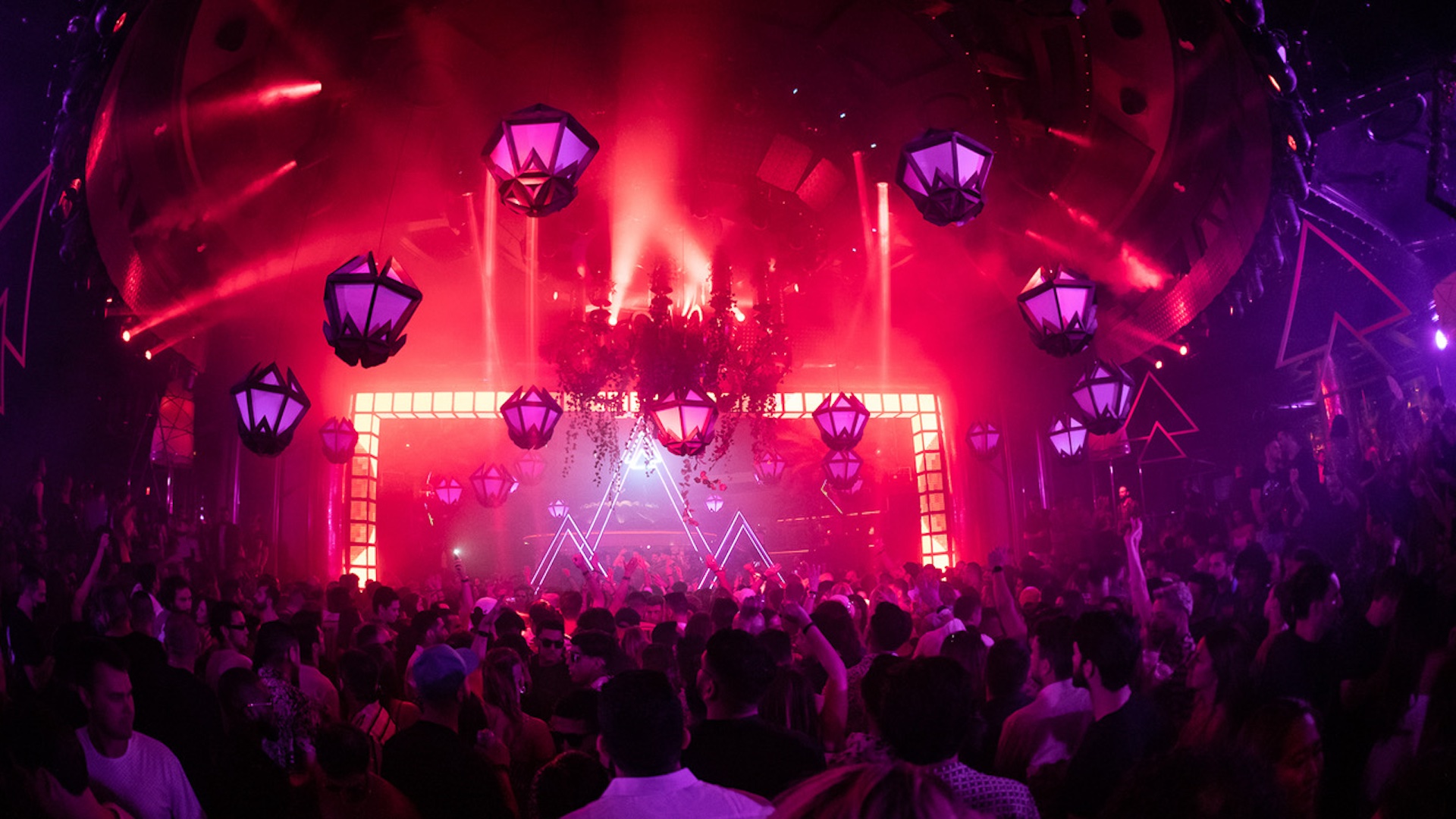 Wynn Nightlife Framework Announce 2024 Art Of The Wild Talent Lineup