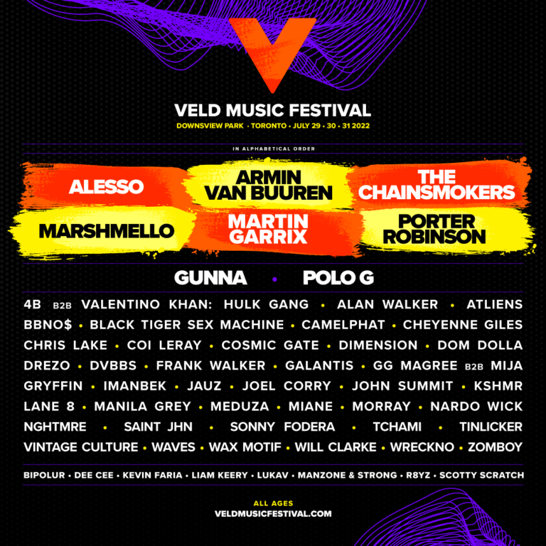 Veld Music Festival Shares 2022 Lineup Featuring Martin Garrix, Alesso